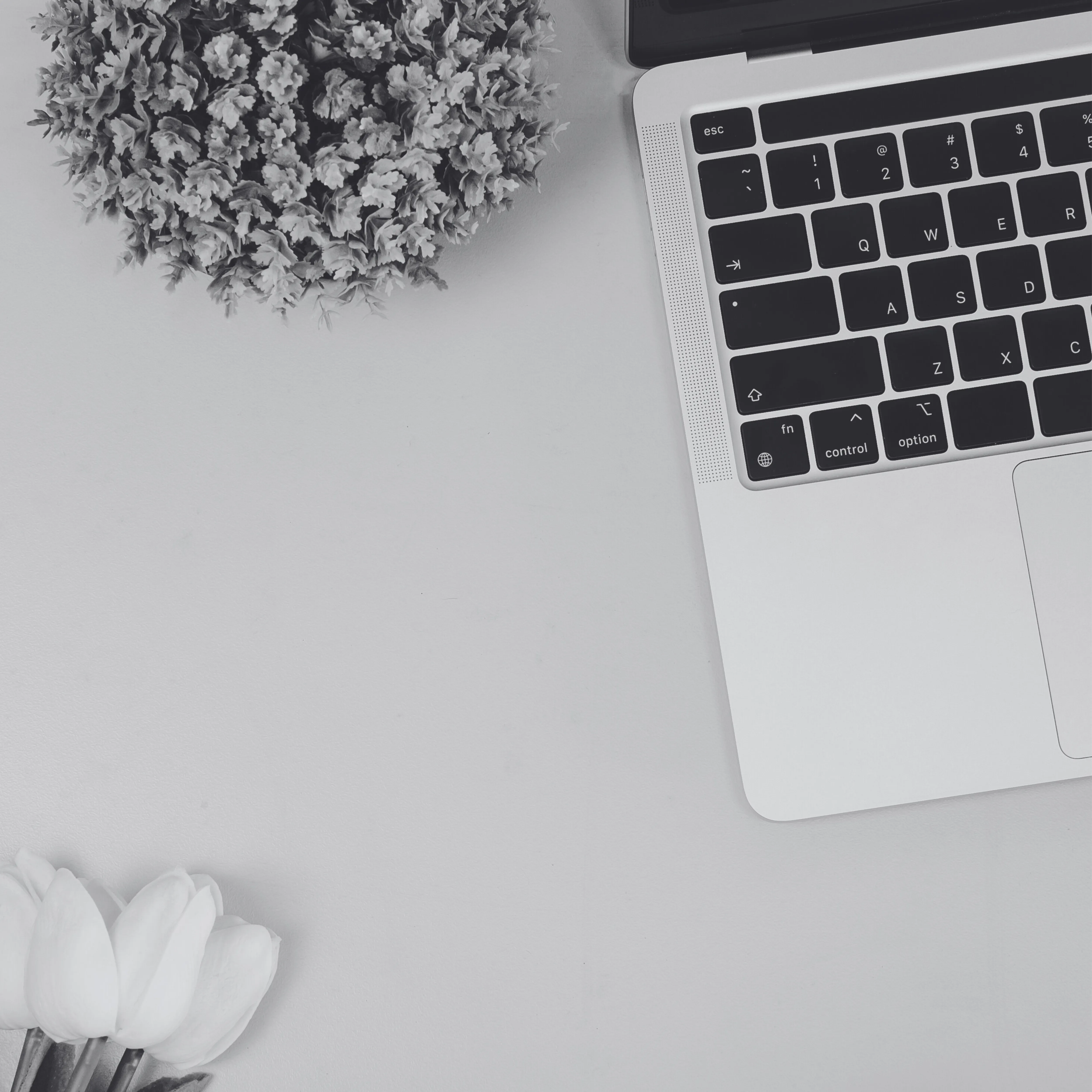 Blog Posts From Experts