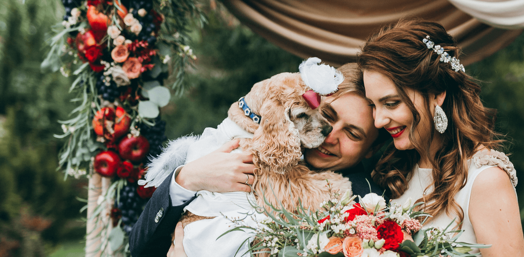 From Overwhelmed to Organised: How to Plan Your Wedding Without Losing the Fun
